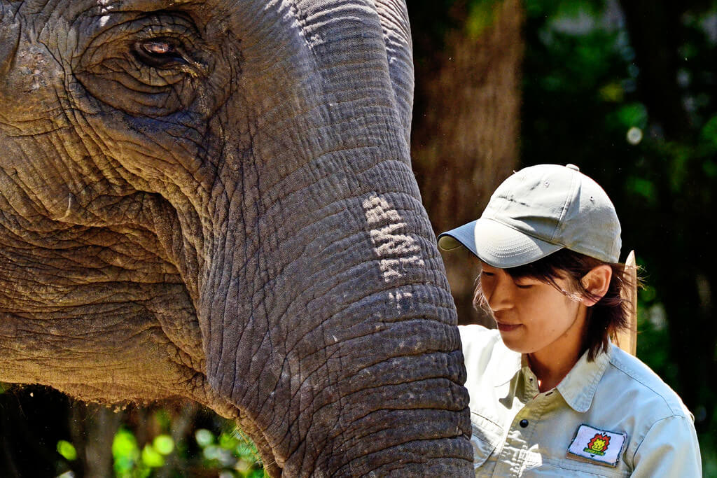 Job description for Zookeeper